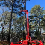 Tree Service Chesapeake, Virginia