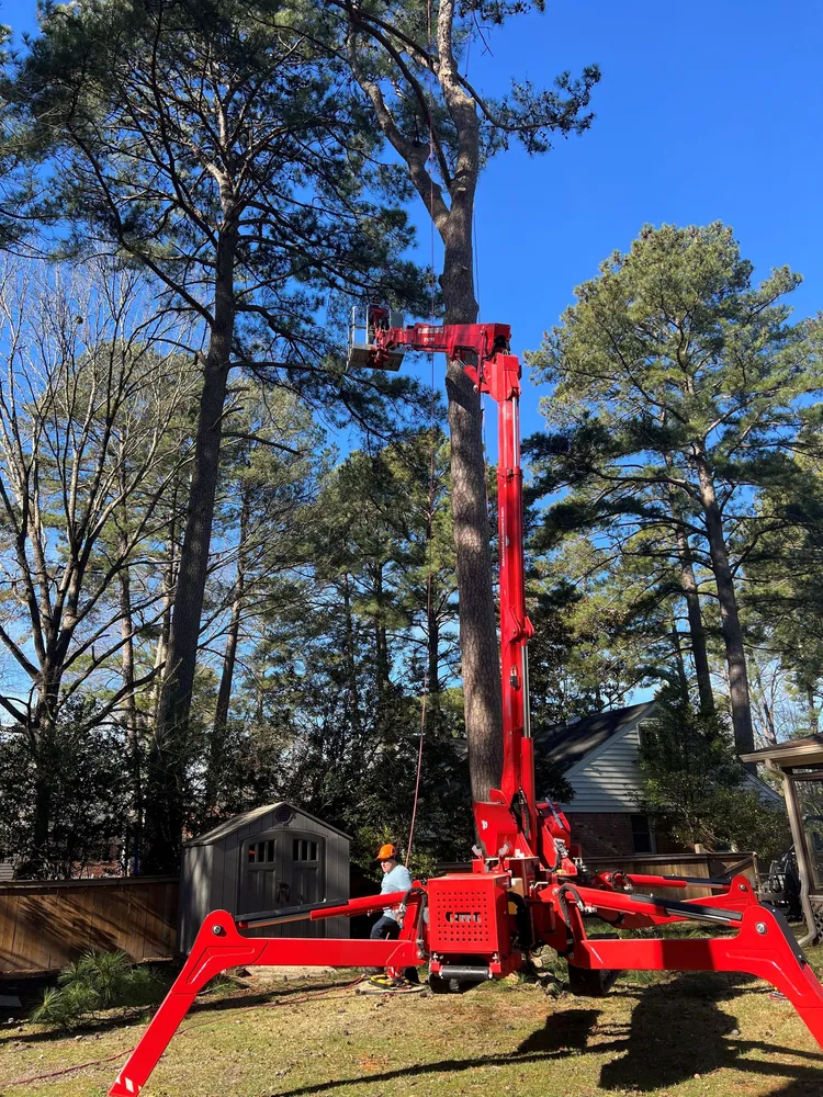 Tree Service Chesapeake, Virginia