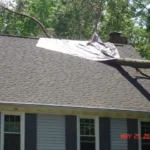 Storm Damage Tree Removal