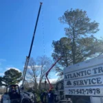 A Atlantic Tree Service Chesapeake, Virginia